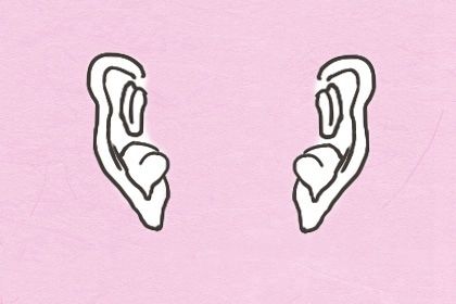 耳轮外翻面相解读 耳轮外翻性格命运解析 耳轮外翻面相解读 耳轮外翻性格命运解析