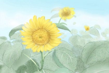 八字排盘方法 八字排盘的步骤和技巧 八字排盘方法 八字排盘的步骤和技巧