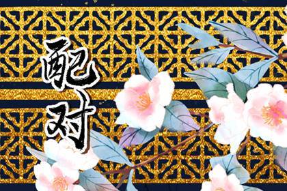 女生射手座跟什么星座最配 合拍合适绝配契合 女生射手座跟什么星座最配 合拍合适绝配契合