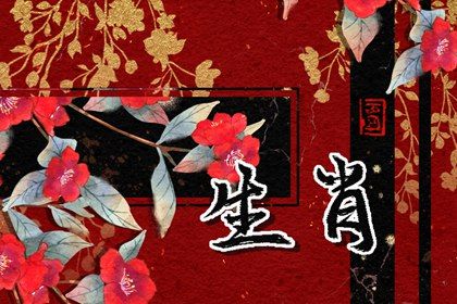 2024九紫离火运对什么人有利 2024年谁最好运 2024九紫离火运对什么人有利 2024年谁最好运