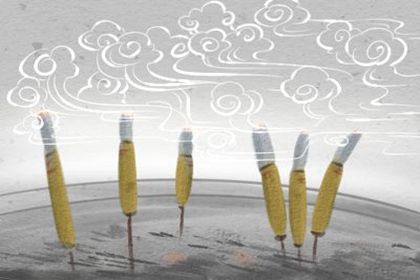 诸葛测字 诸葛神算第308签解签 诸葛测字 诸葛神算第308签解签